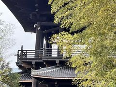 -大唐贡茶院