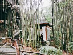 -竹海听涛生态山庄