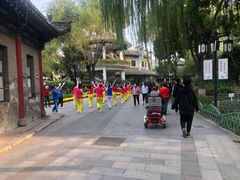 -文瀛公园