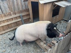 -小时光咖啡馆(开森度假森林店)