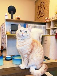 -齐伽生活馆·瑜伽·普拉提·阿育吠陀