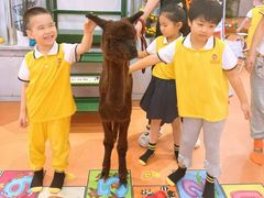 -天津蜂巢幼儿园·托育