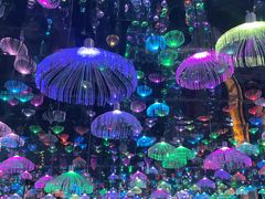 -梵高星空艺术馆(北京旗舰店)