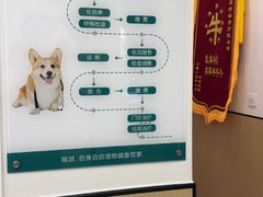-瑞派康怡24h宠物医院·犬猫医疗中心·微创绝育(瑞景分院)