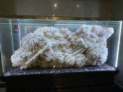 -湖南省地质博物馆