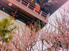 -南翔古镇