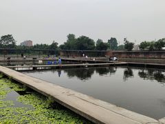 -特种渔场