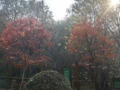 -吉林市朱雀山国家森林公园