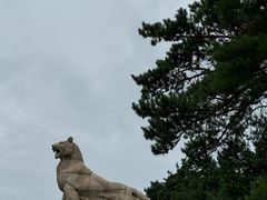 -帽儿山国家森林公园