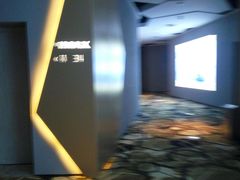 -星河寰宇IMAX影城(星河WORLD·COCO Park店)