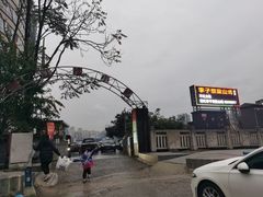 -李子坝梁山鸡(李子坝大鸡哥店)