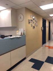 -杭州贝瑞斯美华妇儿医院·早孕·产检·儿科