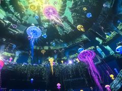 -海合安武汉极地海洋公园