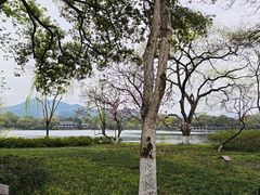 -西湖游船