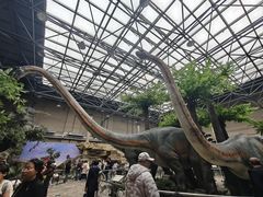 -国家自然博物馆