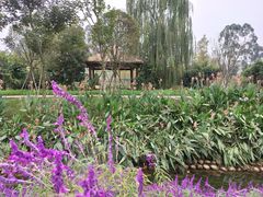 -三圣花乡旅游区