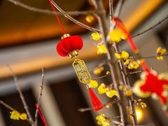 -上海崇明金茂凯悦酒店