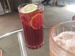-浣熊柯尔鸭土拨鼠·电玩咖