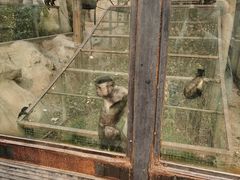 -石家庄市动物园