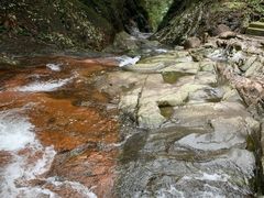 -花岩国家森林公园