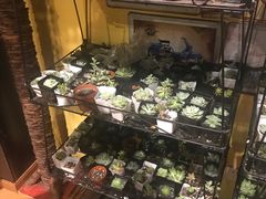 -密讯馆密室逃脱&换装侦探剧(环球港旗舰店)