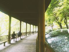 -重庆彩云湖湿地公园