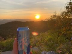 -长虫山生态公园风景林