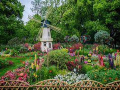 -上海共青森林公园