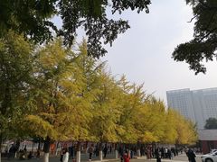 -辽宁大学(崇山校区)