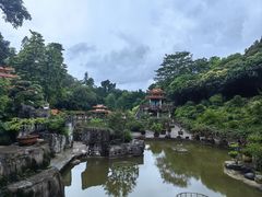 -深圳仙湖植物园