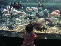 -成都浩海立方海洋公园