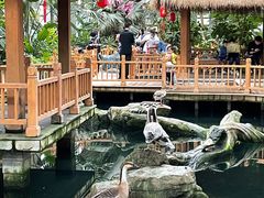 -南宫五洲植物乐园