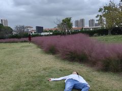 -自然谷恐龙园