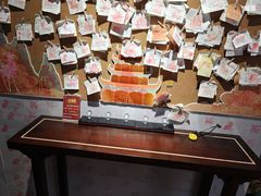 -正佳自然科学博物馆
