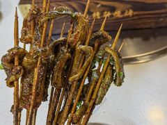 鳝鱼-晓靖轩烧烤(沙河风情店)