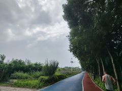 -大兴滨河森林公园