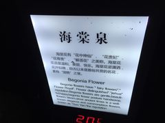 -黄山温泉国际旅游度假区