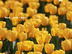 -静安雕塑公园