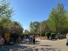-长白岛森林公园