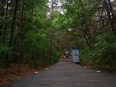 -帽儿山国家森林公园