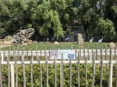 -齐齐哈尔龙沙动植物园