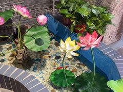 -欠火锅·水牛毛肚·团建聚餐·生日宴(何山路店)