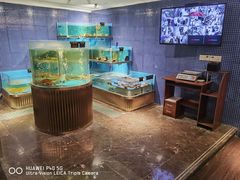 水产区-沈灶河豚宴·河豚融合餐厅(汉中路店)