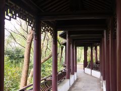 -上海佘山国家森林公园天马山园