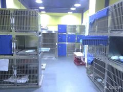 -康乐宝动物医院