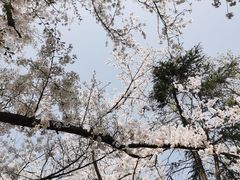 -头陀岭景区