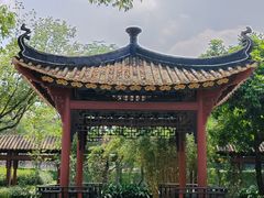 -顺峰山公园