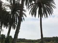 -鹅銮鼻公园