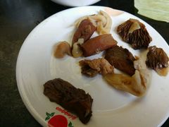 -东巴谷野生菌火锅餐厅