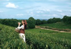 -克拉女神写真馆·匠心定制